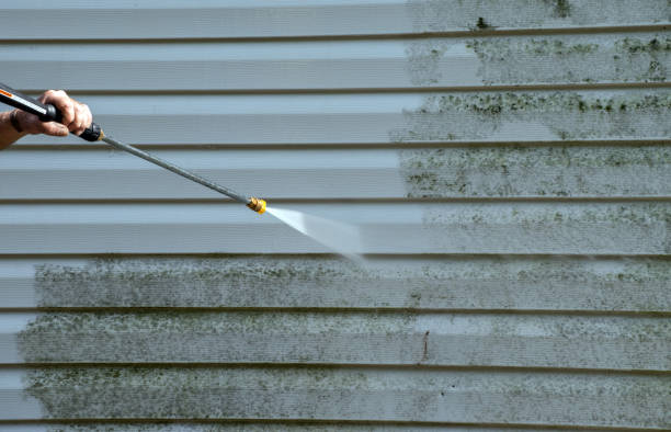 Professional Pressure washing in Fern Acres, HI